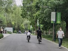 -绿野森林乐园冰雪季