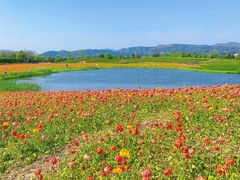 -径山花海