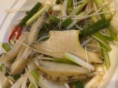 鲍鱼-中苑海韵
