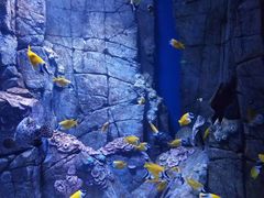 -成都浩海立方海洋公园