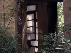 -缙云山景区