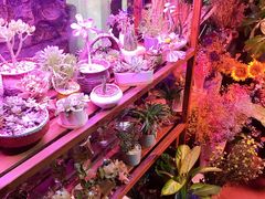 -莫太花餐厅(河北路店)