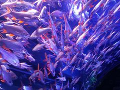 -成都浩海立方海洋公园