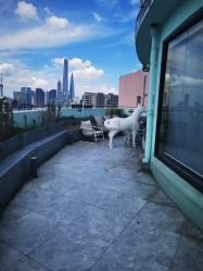 -DOS HOP潮上舞蹈