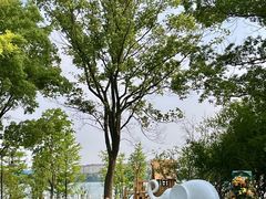 -金鸡湖桃花岛