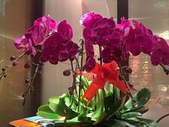 -喜湘宴·精致湖南菜(和平西桥店)