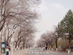 -吉林大学(南岭校区)