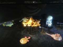-同济大学四平路校区深海探索馆