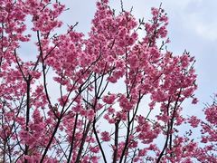 -梁鸿国家湿地公园