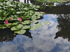 -日出青木·杭帮菜名店