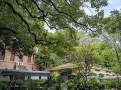 -火车头法国西餐厅