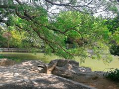 -小洲村