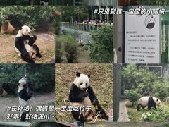 -广州动物园