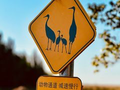 -黑龙江扎龙生态旅游区