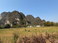 -明仕田园