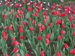 -石屋料理(南京西路店)