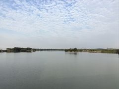 -贡湖湾湿地公园