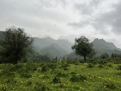 -兰州吐鲁沟国家森林公园