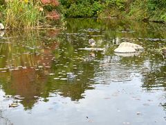 -白马涧龙池景区