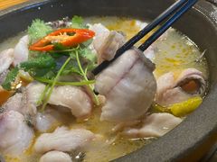 -大鼎石锅鱼(春江里店)