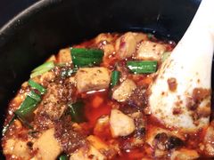 -陈麻婆豆腐总店