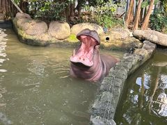 -宁波野生动物园