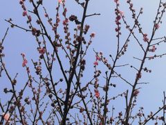 -洋湖国家湿地公园