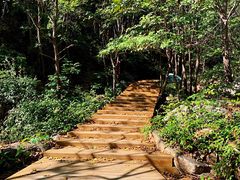 -大岭沟猕猴桃谷风景区