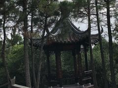 -南京市无想山景区