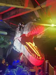 -恐龙探索乐园(磁器口店)