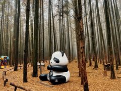 -山王坪喀斯特国家生态公园