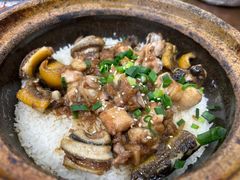 -红星光发煲仔饭(大石街店)