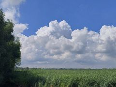 -白渔泡湿地公园