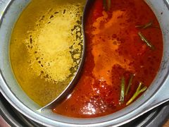 -青瓷火锅料理(西单大悦城店)