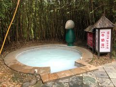 -森波拉火山温泉