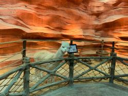 -酷嗒动物文化乐园(cutezoo西溪乐天城店)