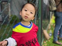 -飞梦少儿足球培训(塘桥校区)