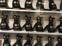 -猫咪博物馆(顶澳仔猫街店)