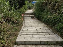 景点-阳台山森林公园
