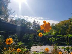 -白塘生态植物园