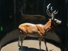 -中国湿地博物馆