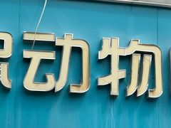 -瑞派·关忠动物医院·猫专科·犬专科(三环新城店)