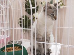-藏猫猫咖啡主题馆(中央大道店)
