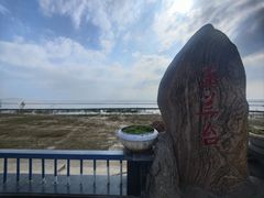 -合肥滨湖国家森林公园