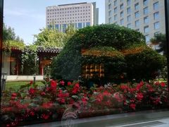 -亮马河饭店翠雅咖啡厅