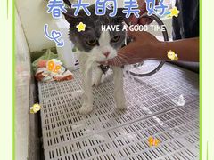 -宠颐生动物医院·小陆分院