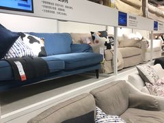 -宜家家居(哈尔滨商场店)