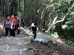 -严子陵钓台(富春江小三峡)