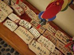 -汤泉良子(金源店)