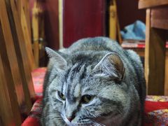 -老北京褡裢火烧·任记